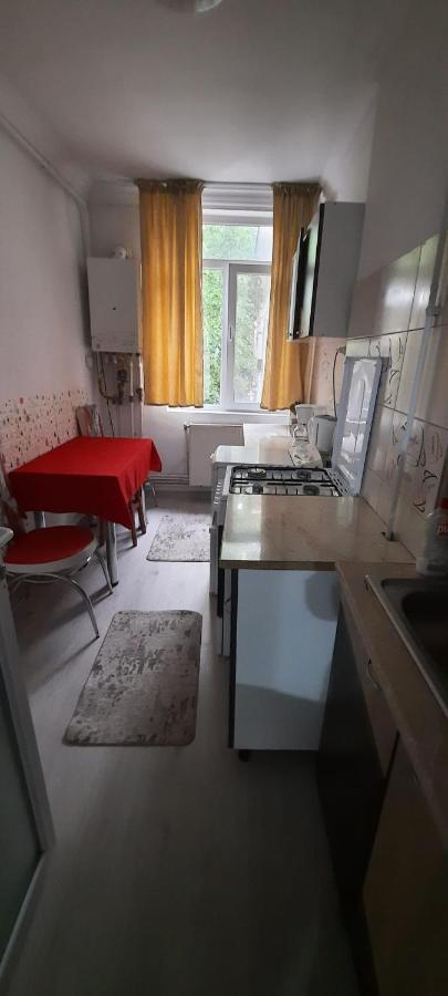 Apartament La Denis Birlad Exterior photo